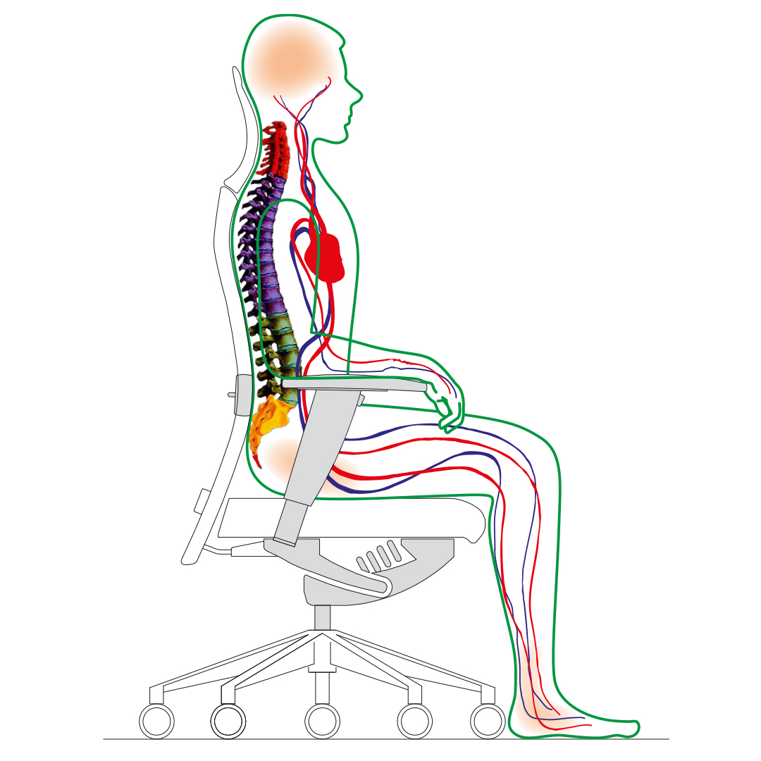 postura corretta sedia ergonomica ufficio