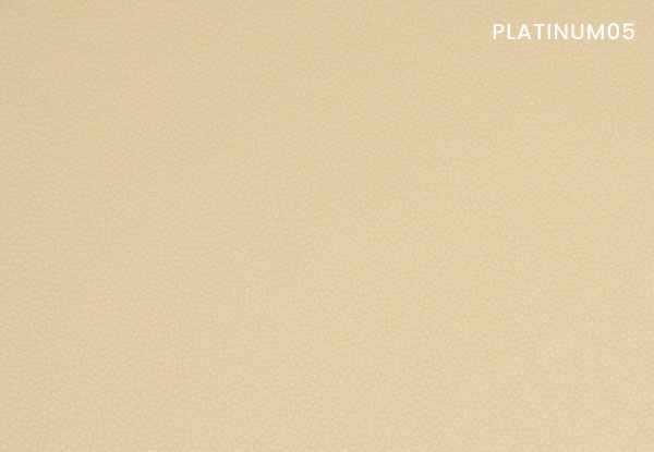 platinum-05