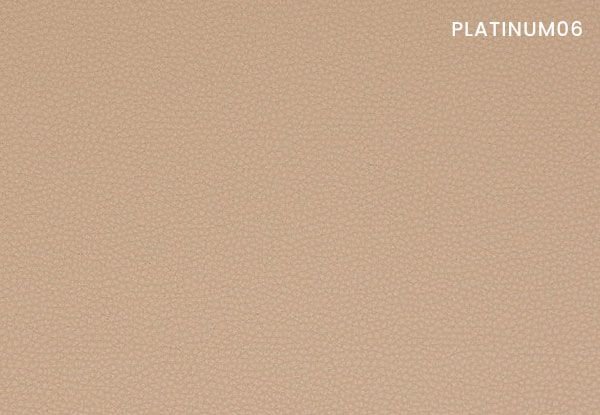 platinum-06