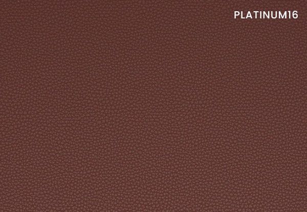 platinum-16
