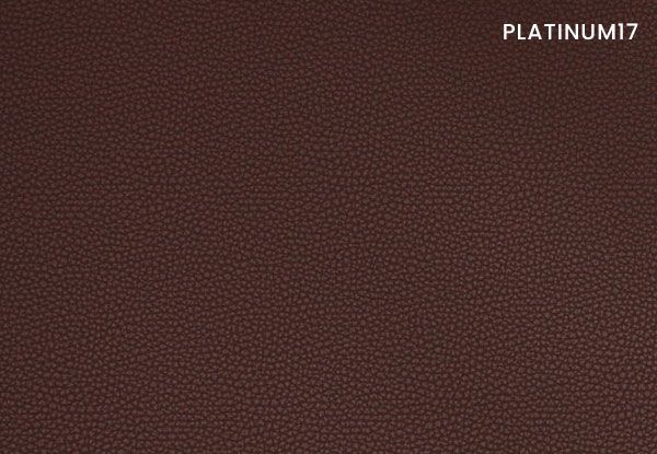 platinum-17