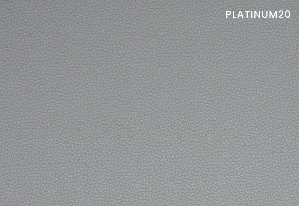 platinum-20
