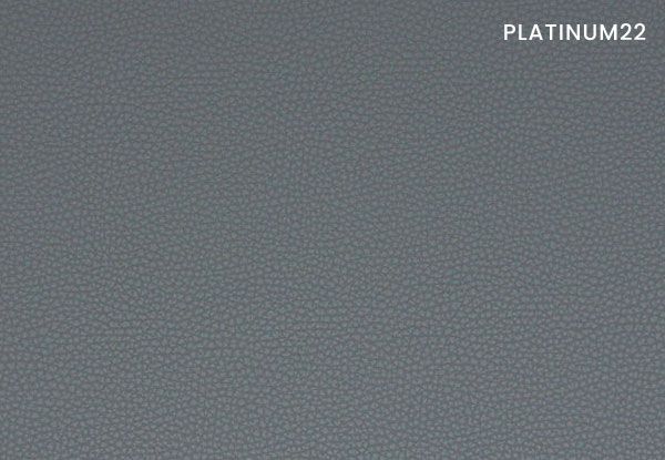 platinum-22