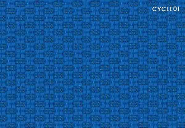 CY01